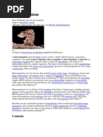 Brock Biology Of Microorganisms 13th Edition Powerpoint Download