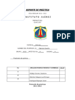 Biolo Practica 8