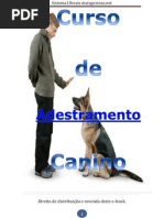 Curso de Adestramento Canino