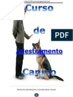 Curso de Adestramento Canino