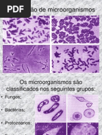 Eliminação de microorganismos