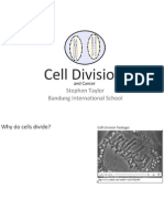 2-5 celldivision