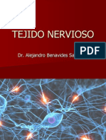 7tejido Nervioso