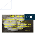Agro Jamur