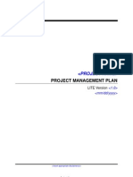 Project Management Plan Lite Template