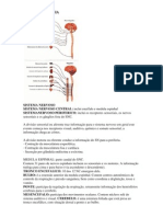 Sobre Neurofisiologia