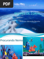Recifes de Coral