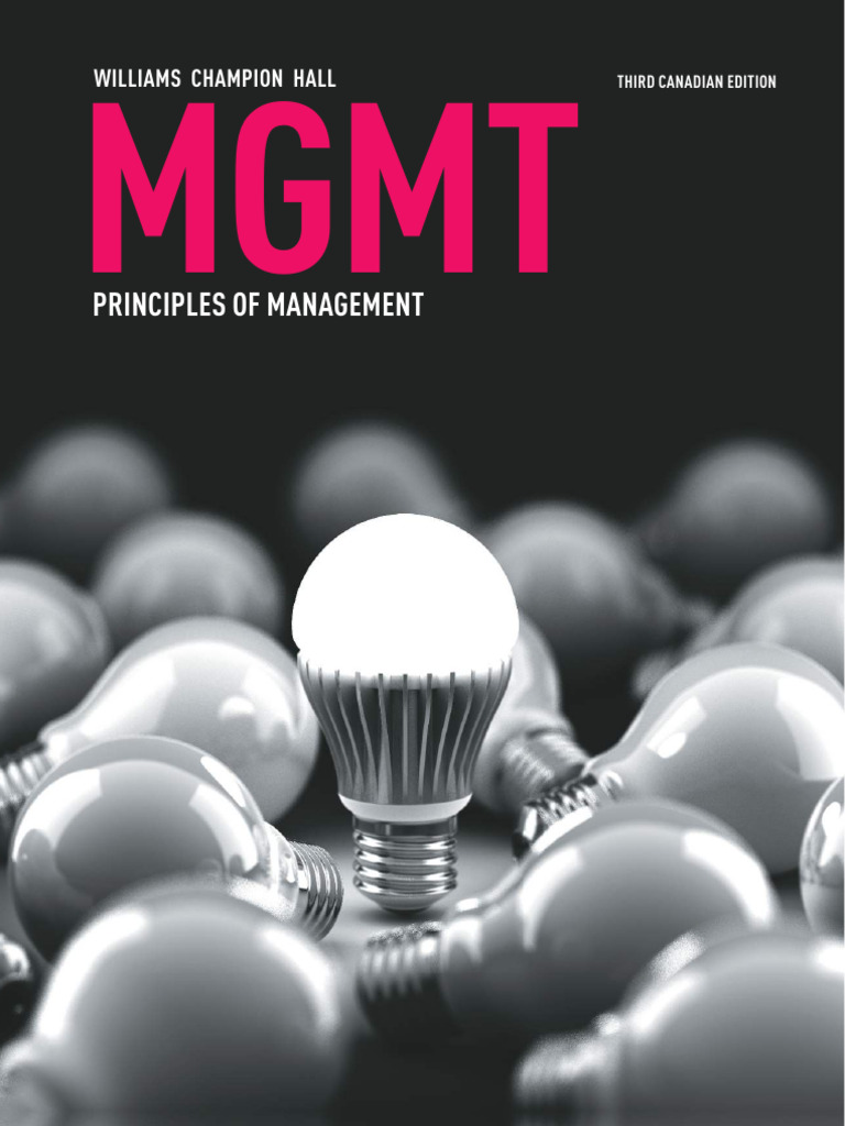 MGMT PRINCIPLES OF MANAGEMENT (3rd Canadian Edition) PDF | PDF ...