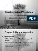 Chapter: Natural Vegetation: A Study of The Earth's Forests