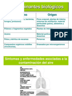 Bacterias en El Aire y Hongos