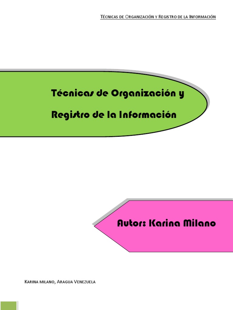 Técnicas de Organización y Registro de la Información