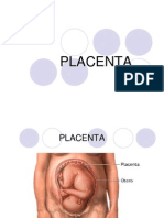 Placenta