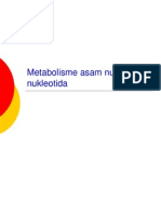 Metabolisme Asam Nukleat Dan Nukleotida