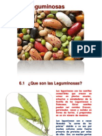 Leguminosas: fuente de proteínas y nutrientes
