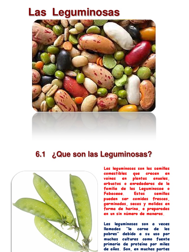 Definición y beneficios de leguminosas | PDF | Legumbre | Nutrición