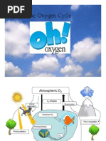 GPCB CPCB Category Wise List With GR | PDF | Chlorine | Fertilizer