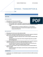 Protein Synthesis: Transcription & Translation