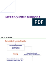 Mikrobiologi Umum 13