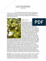 Download Psidium_guajava by Amalia Rasyid SN109262098 doc pdf