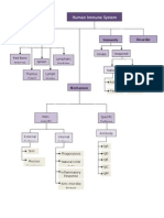 Overview of Human Immune System