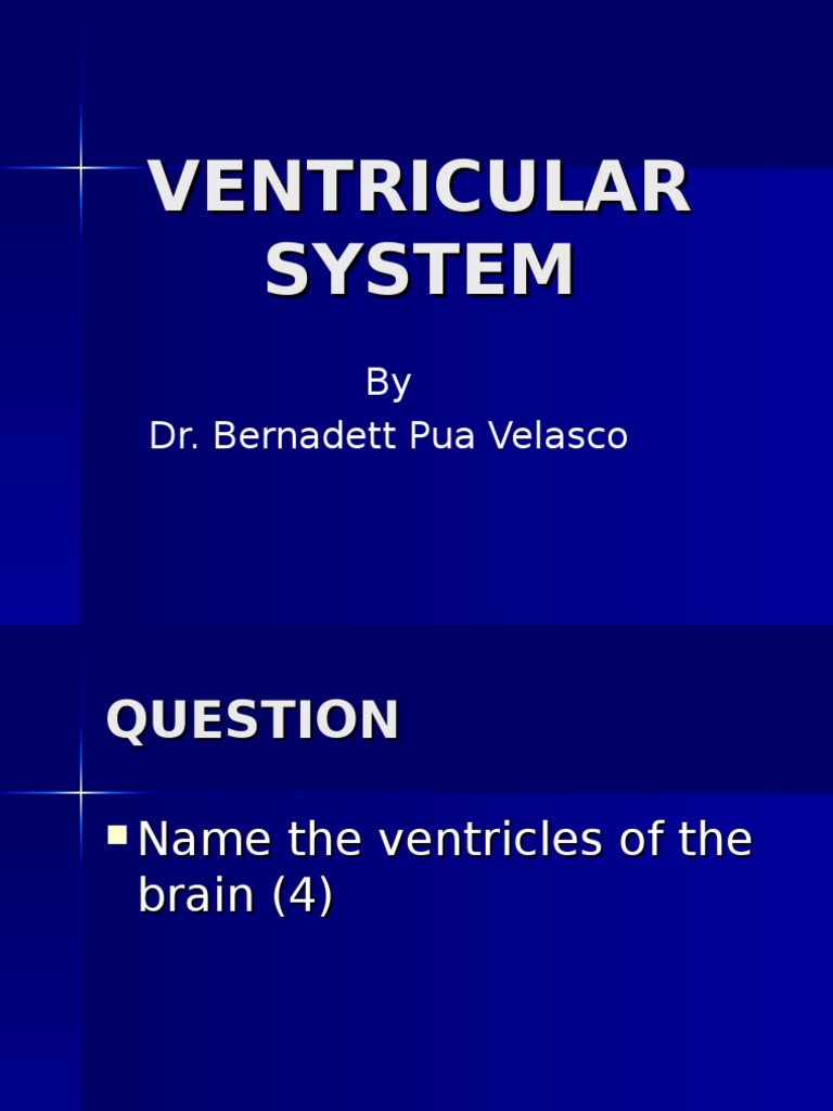 Brain Ventricles and CSF Overview | PDF | Cerebrospinal Fluid ...