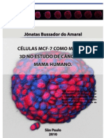 Células MCF-7 como modelo 3D no estudo de câncer de mama humano_MCF-7 cells as a 3d model in the study of human breast cancer.