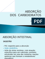 Absorção - Carboidratos