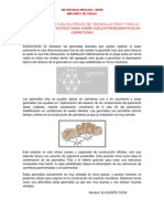 Mejoramiento de Suelos Atravez de Geomallas Triax