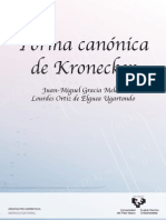 Forma Canonica Kronecker