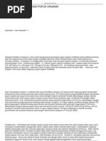 Download File by Iman Muhardiono SN109315809 doc pdf