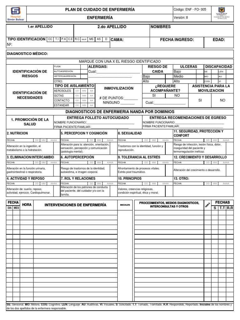 Formato de Plan de Cuidados de Enfermería | PDF | Enfermería ...