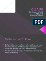Culture Version 1.2
