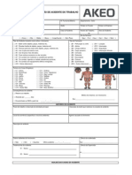 Ficha de Investigacao de Acidentes 1 Akeo