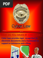 Cyber Law