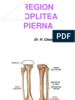 Poplitea y Pierna