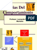 comportamiento organizacional