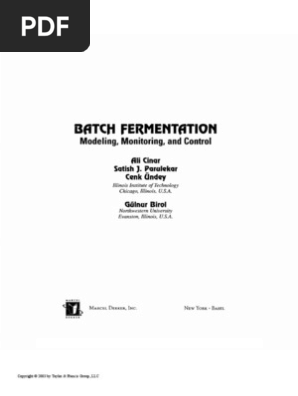 NLY Design, comprehensive evaluation, and experimental study of