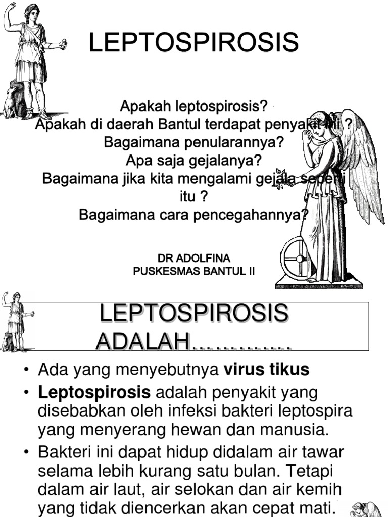 LEPTOSPIROSIS ppt