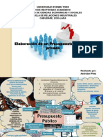 Mapa Mental de Presupuesto Publico y Privado