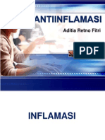 Antiinflamasi 100724094957 Phpapp02