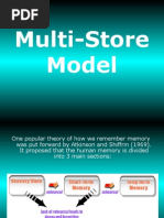 Download Multi Store Model by ShanaraBegum16474 SN10940697 doc pdf