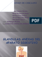 glandulas_ (1)