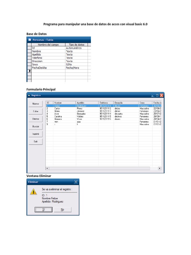 Programa de Base de Datos en Visual Basic 6.0 | PDF | Básico | Ciencias ...