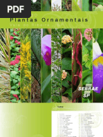 Catalogo Plantas Ornamentais