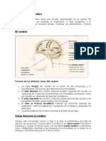 funcionesdelcerebro-090715185655-phpapp01