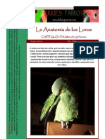 Anatomia de Psitacidos