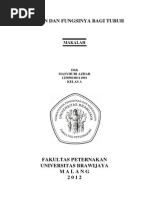 Download Makalah Tentang Vitamin by Masyhuri Azhar SN109426226 doc pdf