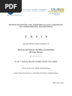 Download Honey 2012 Tesis Doc by OozMar Sandino SN109431183 doc pdf