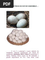 A IMPORTÂNCIA DO OVO NO CANDOMBLÉ