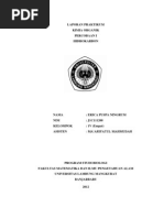 Download Laporan Praktikum Kimia Organik 1 by Erica Poespa Ningroem SN109437047 doc pdf